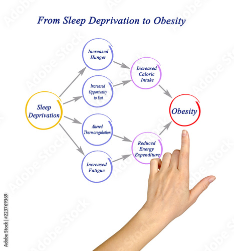 Картината върху платно From Sleep Deprivation to Obesity .