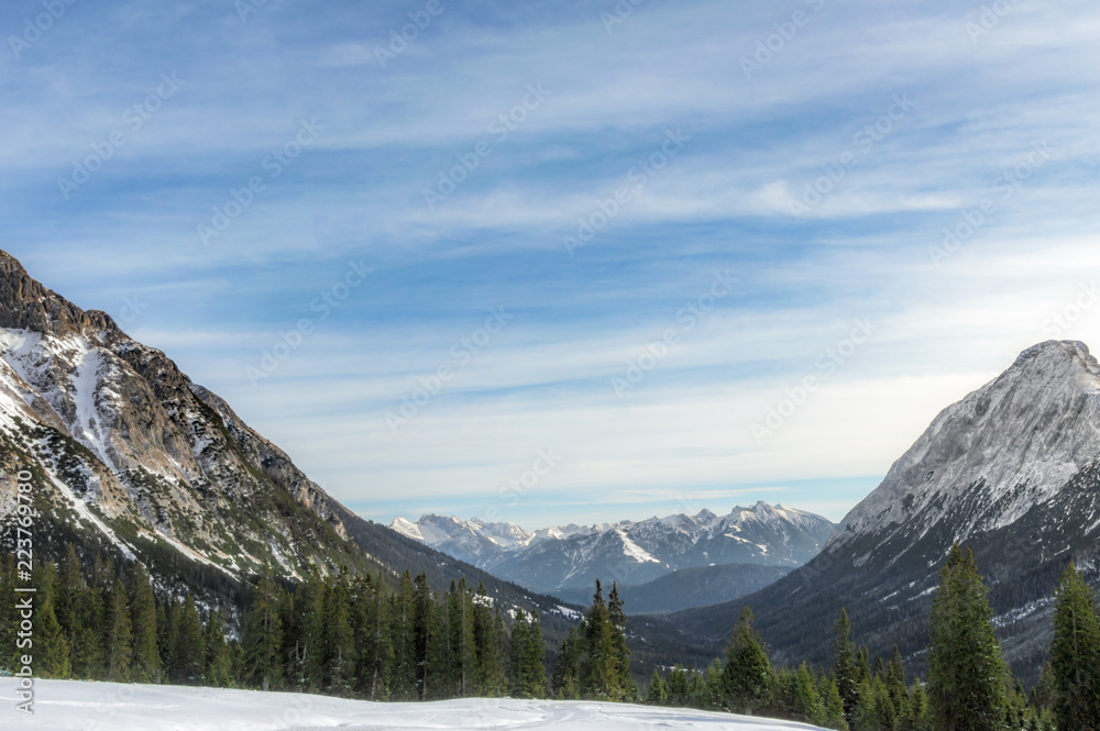 Snow-capped mountains and fir forests