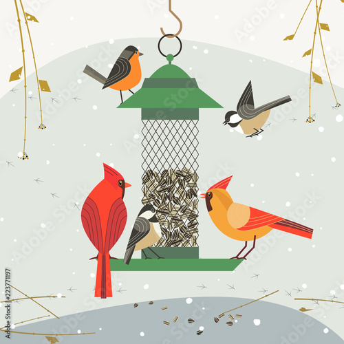 Cute birds poster. Red Northern cardinal, chickadee robin comic cartoon. Minimalism simplicity design. Winter bird feeding by sunflower seeds in feeder. Birdwatching background. Vector illustration