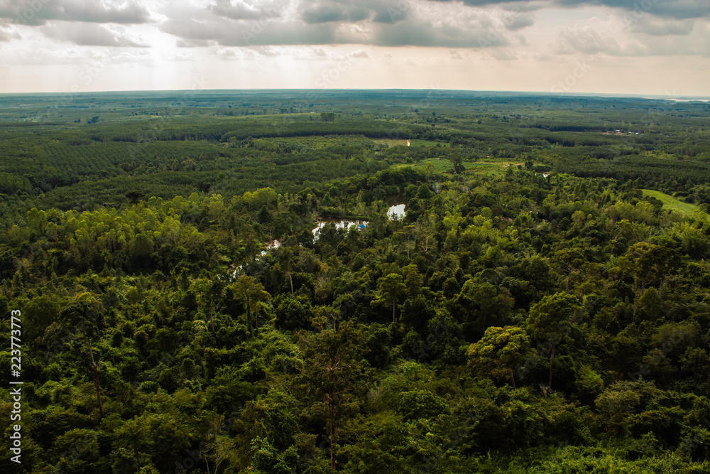 Looking out onto the forest canopy below the mountain range at Phu Sing National Park on a cloudy, overcast day in the rain season.