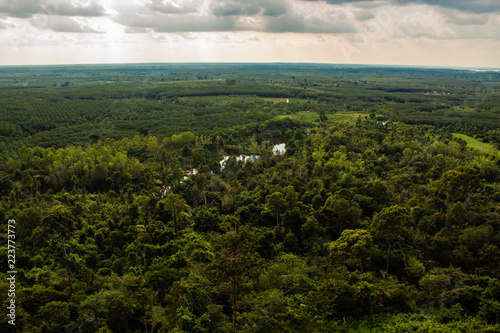 Obraz na płótnie Looking out onto the forest canopy below the mountain range at Phu Sing National Park on a cloudy, overcast day in the rain season. w salonie