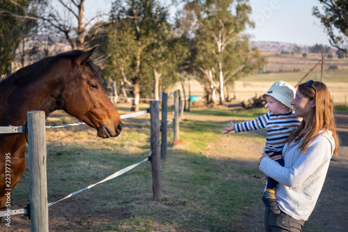 Young boy reaching out to a horse © Adam