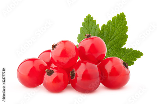 Red currant isolated on white background, clipping path, full depth of field
