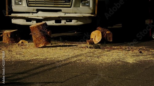 Big Chunk of Wood Falls