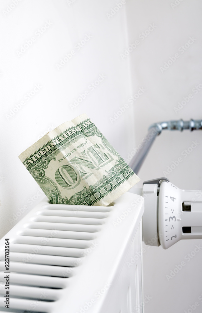 Radiator and one dollar. Money on heating battery. Radiator and one dollar. Money on heating battery.