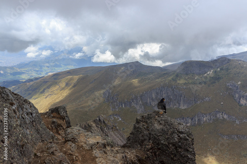 Eagle on ruca pichincha over quito, ecuador