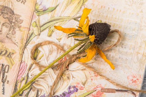 Dried black eyed susan flower on vintage background photo