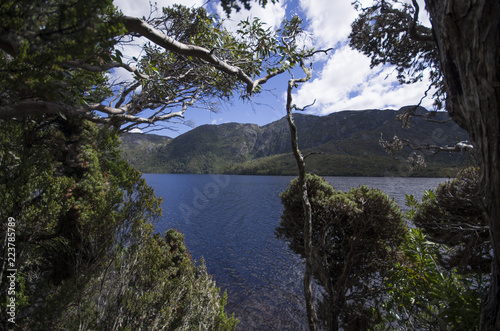 Craddle Mountain National Park en Tasmanie photo