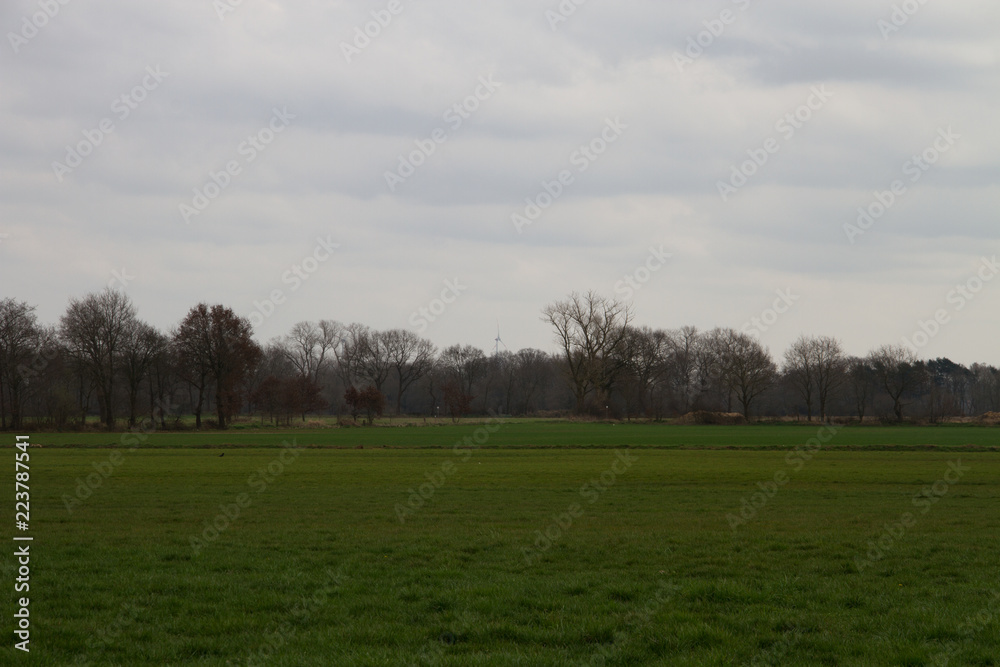 blick auf eine wiese mit gras im nord westen deutschlands fotografiert während eines spaziergangs in der natur des nord westen deutschlands blick auf eine wiese mit gras im nord westen deutschlands fotografiert während eines spaziergangs in der natur des nord westen deutschlands
