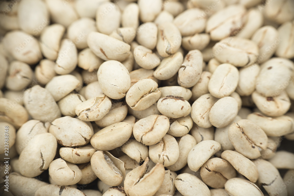 unroasted coffee beans, top view - coffee tree unroasted coffee beans, top view - coffee tree