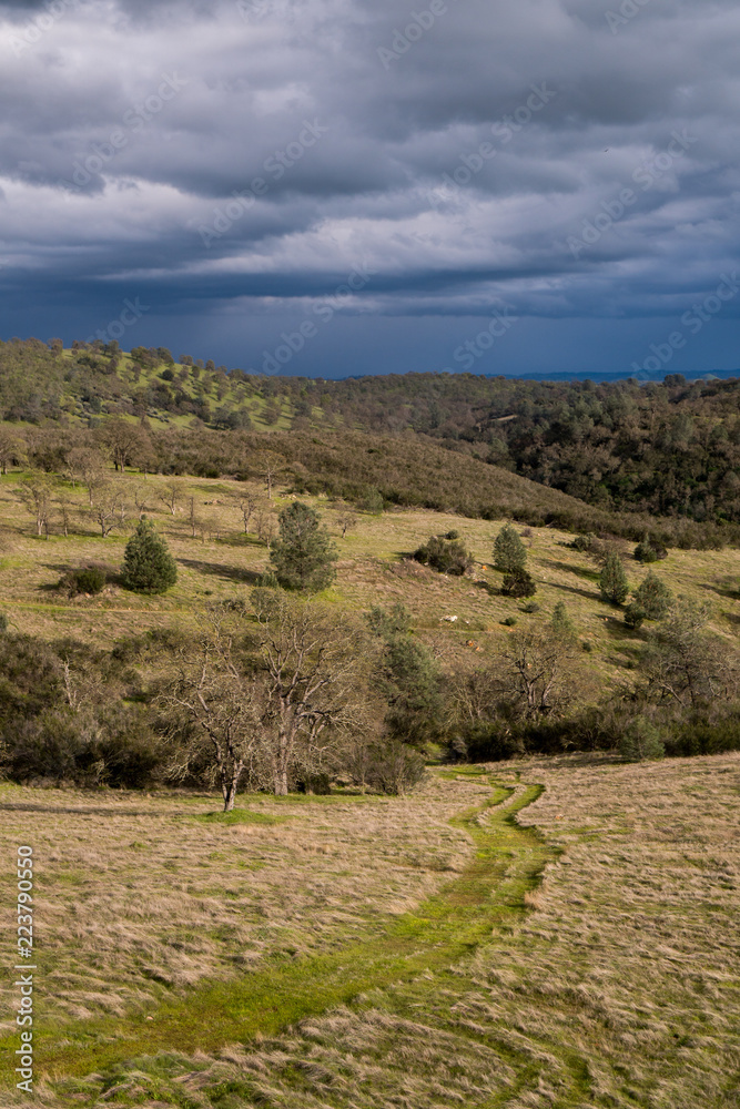 Hills with grass and trees under dark sky