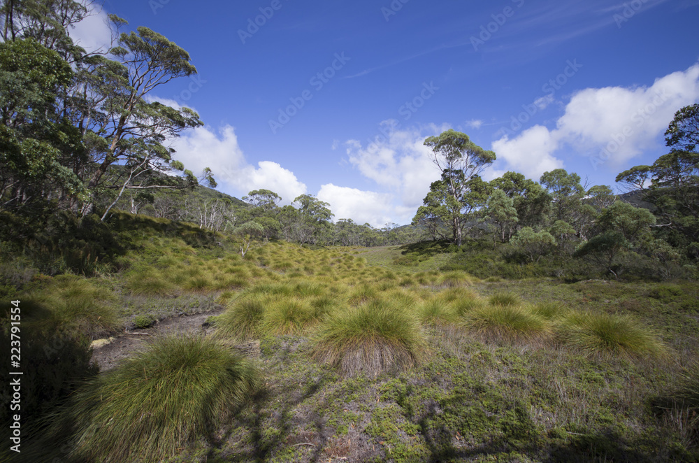Fototapeta premium Cradle Mountain en Tasmanie, Australie