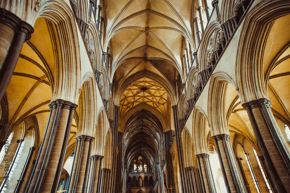 Celling inside the Salisbury Cathedral, England. Medevial architecture. Selective focus. copy space.