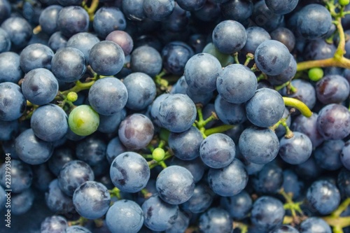 Dark blue grapes.