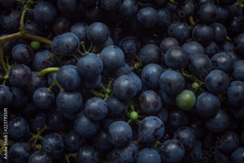 Grapes, raw materials for wine.