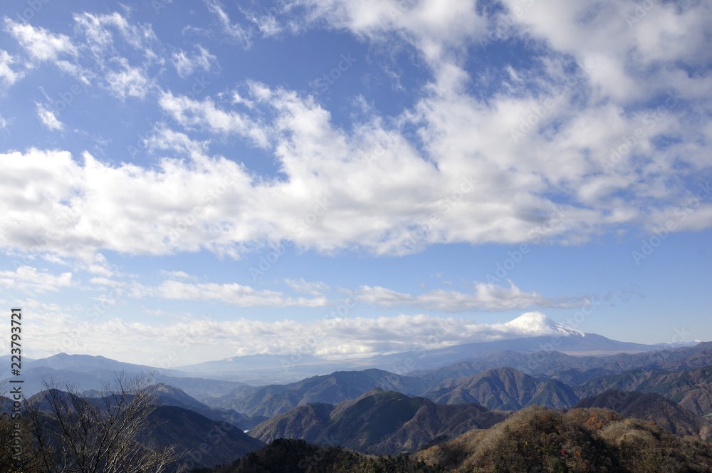 富士山展望 富士山展望
