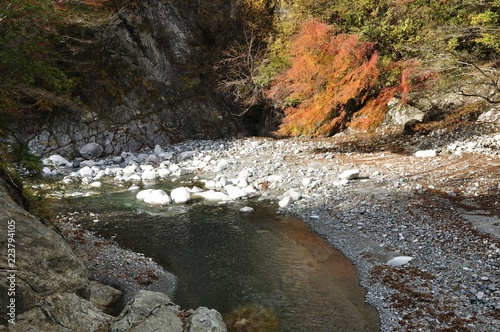 Bild auf Leinwand 紅葉と玄倉川