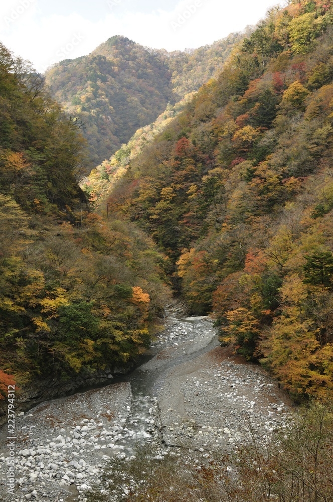 ユーシン渓谷の紅葉 ユーシン渓谷の紅葉