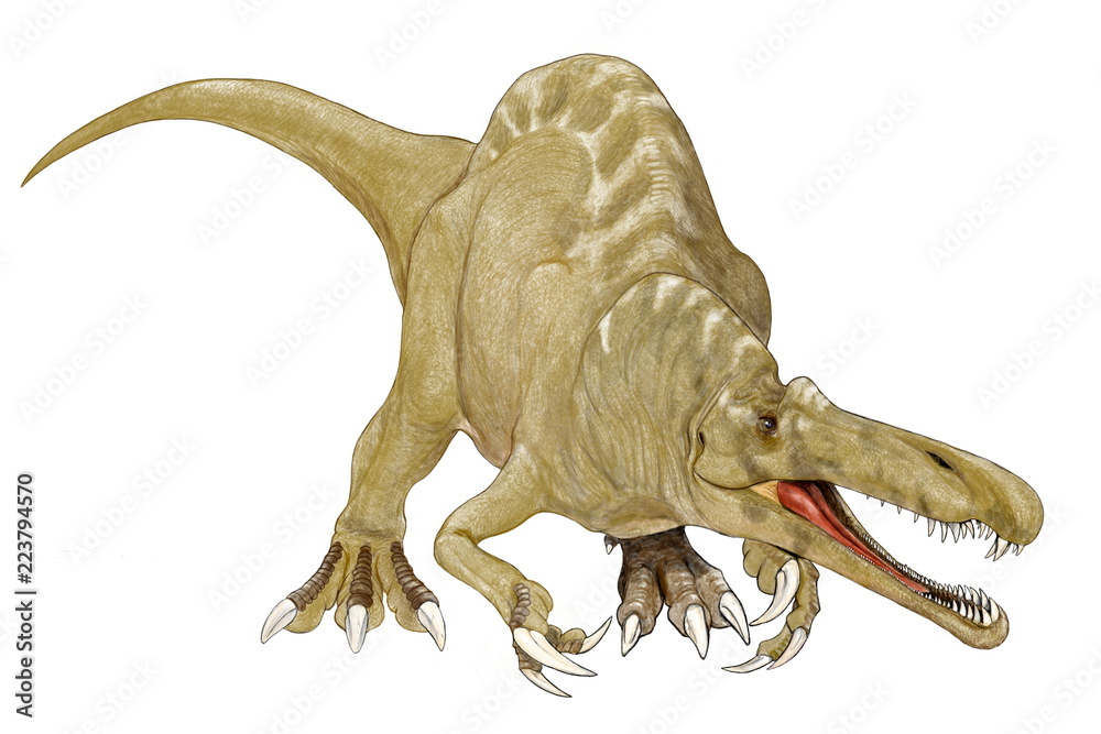 スコミムス ギリシャ語で砂漠のワニと呼ばれる白亜紀後期のスピノサウルス科の恐竜 体長は推定11メートルとされる しかし発見された化石は成体ではない イラストのスケッチは03年に行った Stock Illustration Adobe Stock