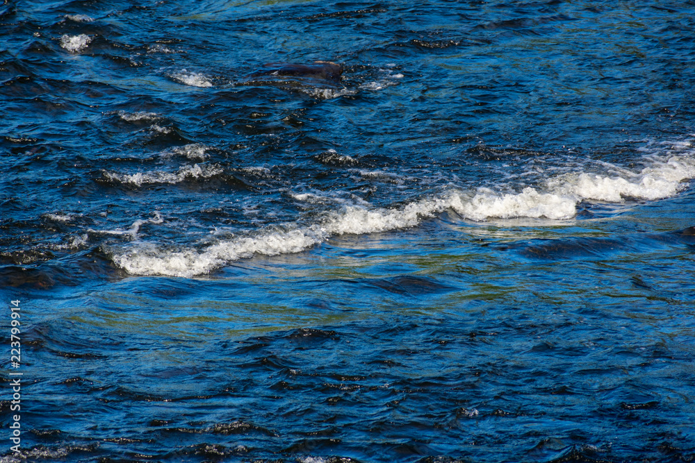 Obraz premium Baby waves formed on a river