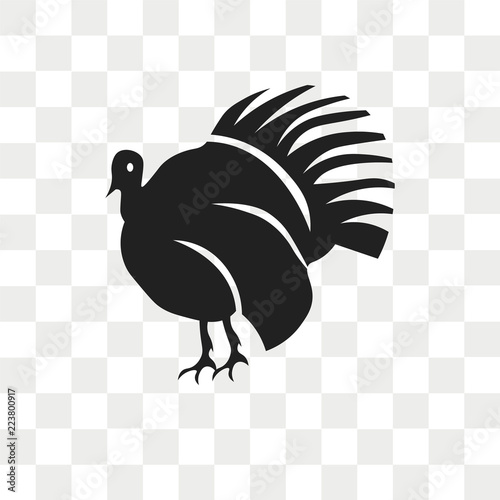 Turkey vector icon isolated on transparent background, Turkey logo design