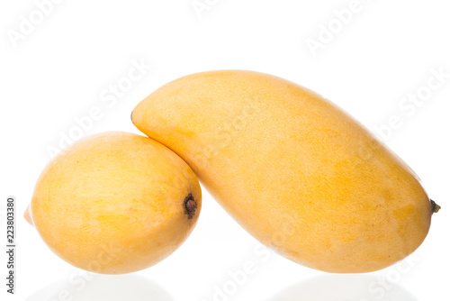 mango fruit on white background