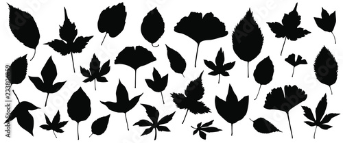 Set of silhouettes of the 30 autumn leaves vector illustrations - Isolated on white background