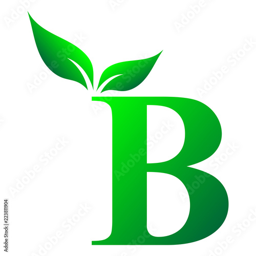 Alphabet B, Letter B, English Alphabet