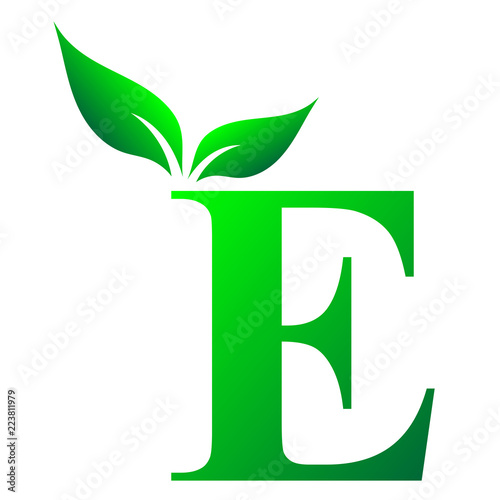 Alphabet E, Letter E, English Alphabet
