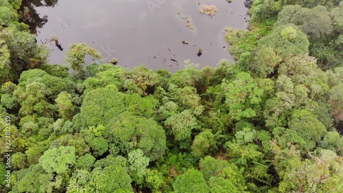 Volcanic Crater lake. surrounded by primary montane rainforest, on the flanks of Volcan Sumaco, in the Ecuadorian Amazon