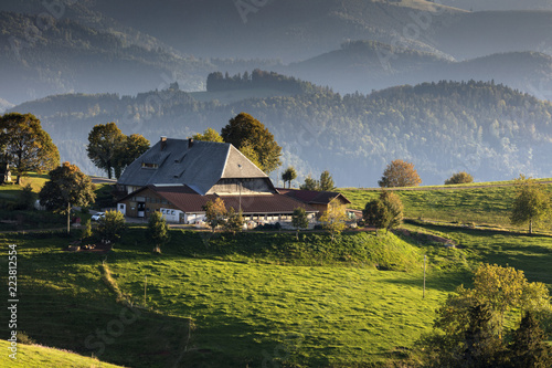 Bild auf Leinwand Bauernhof bei St.Peter im Schwarzwald