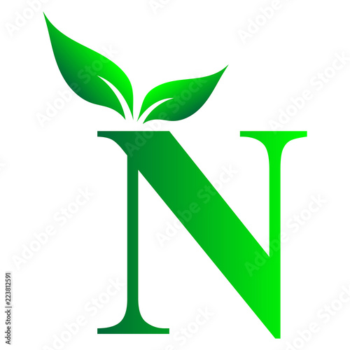 Alphabet N, Letter N, English Alphabet