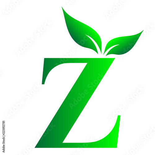 Alphabet Z Letter Z, English Alphabet