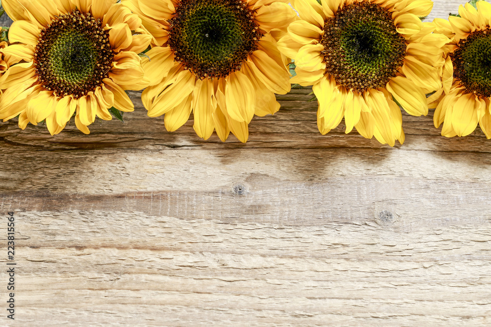 Sunflowers on wooden background Sunflowers on wooden background