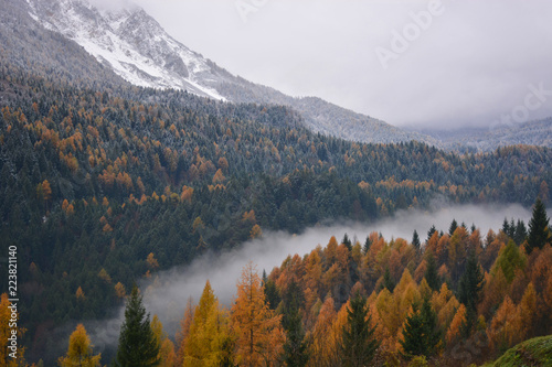 Fotografie large forests divided between autumn and winter