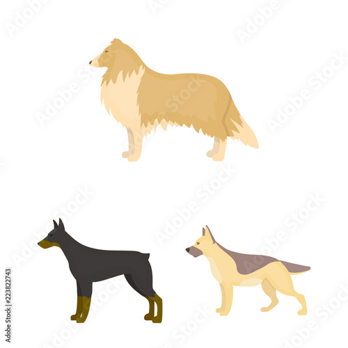 Dog breeds cartoon icons in set collection for design.Dog pet vector symbol stock web illustration.