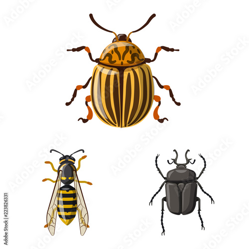 Isolated object of insect and fly icon. Set of insect and element stock symbol for web.