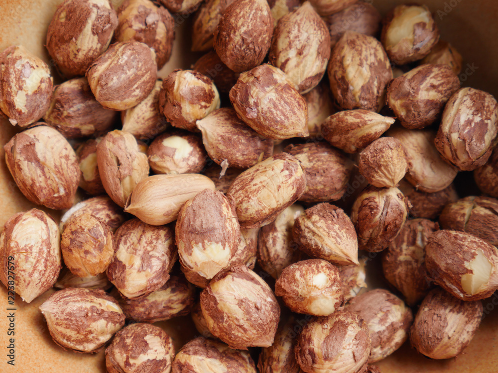 Hazelnut kernel - background Hazelnut kernel - background