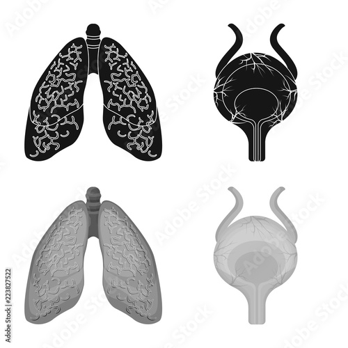 Vector illustration of body and human symbol. Collection of body and medical stock symbol for web.