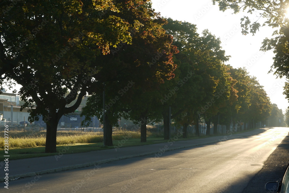 Obraz premium Autum road