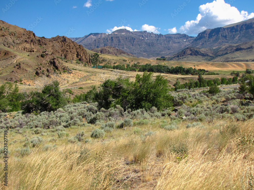 Typical landscape of the American northwest : fields, bushes, mountains and a blue sky, Wyoming, USA