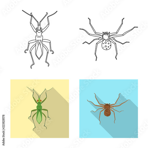 Vector illustration of insect and fly icon. Collection of insect and element vector icon for stock.