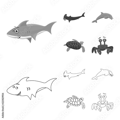 Vector design of sea and animal icon. Set of sea and marine stock vector illustration.