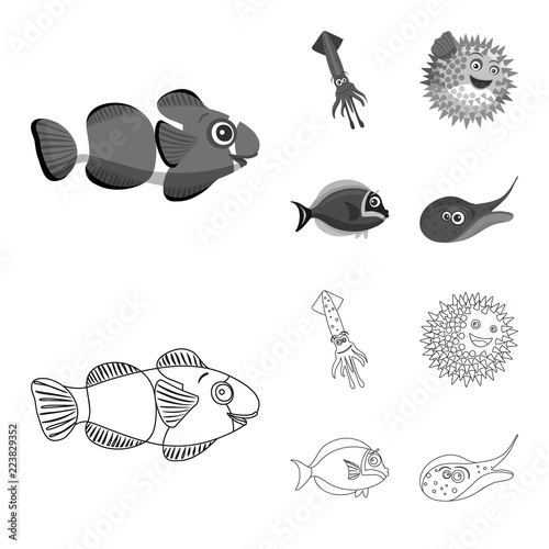 Vector design of sea and animal icon. Set of sea and marine stock vector illustration.