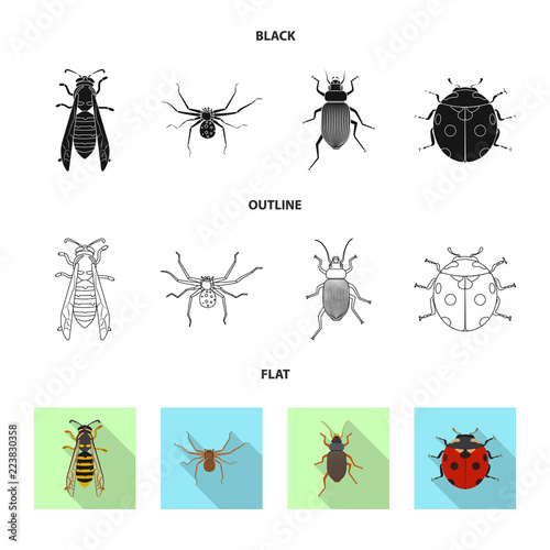 Isolated object of insect and fly symbol. Set of insect and element stock symbol for web. © Svitlana