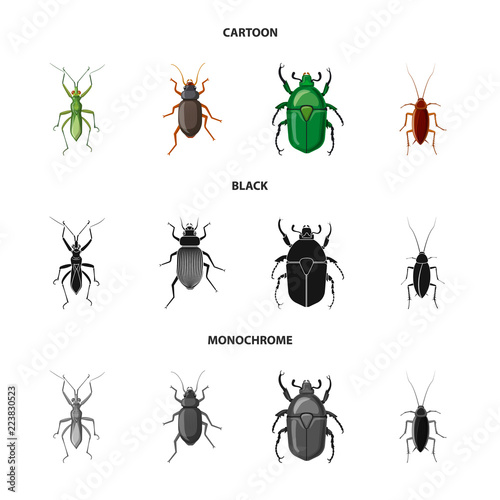 Isolated object of insect and fly sign. Collection of insect and element stock symbol for web. © Svitlana