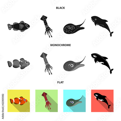 Vector design of sea and animal logo. Set of sea and marine stock vector illustration.