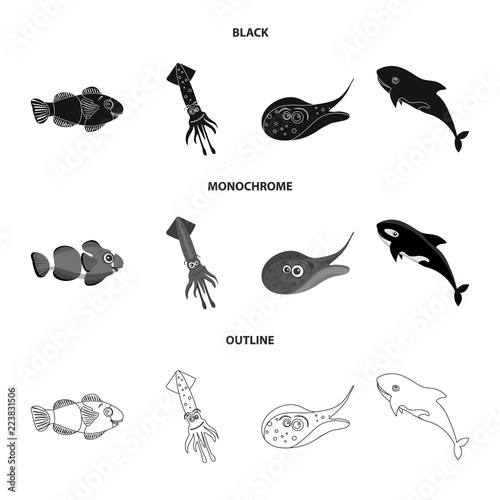 Isolated object of sea and animal icon. Collection of sea and marine vector icon for stock.