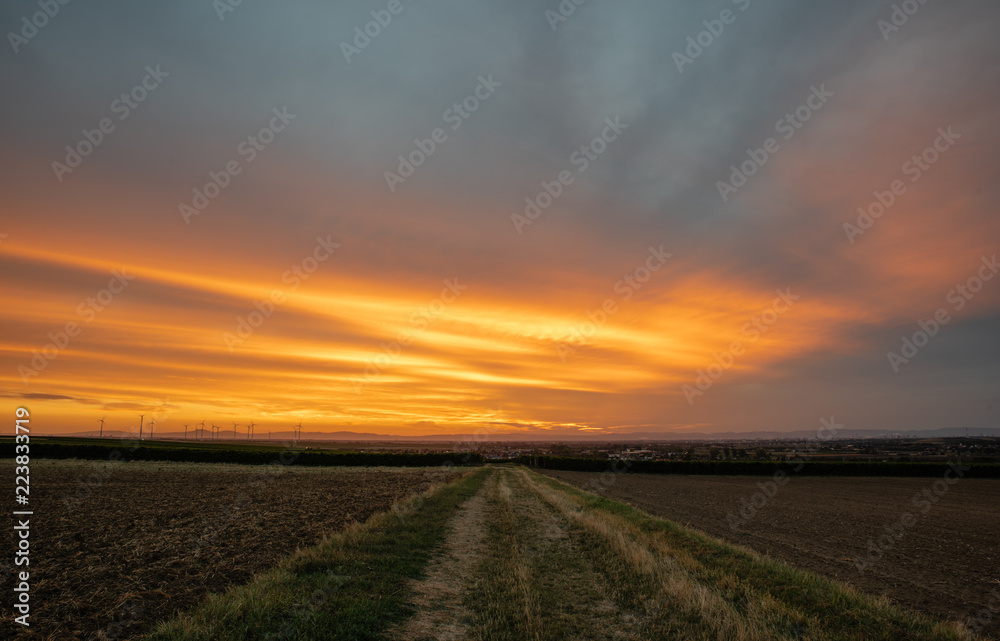 Feldweg im Weinberg mit Windrädern im Hintergrund Feldweg im Weinberg mit Windrädern im Hintergrund
