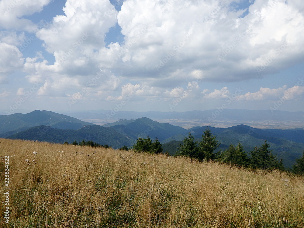 Mountain meadows, (Borisov - Greater Fatra Range in Slovakia)